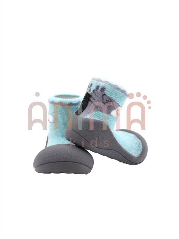ZEBRA MINT ATTIPAS PRIMEROS PASOS